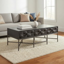 Mercana Hogarth 48" x 26" x 18" Metal Coffee Table