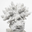 Mercana Isla 4.7" x 4.7" x 10.4" Resin Decorative Object