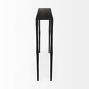 Mercana Timothy 48" x 8" x 30" Iron Console Table
