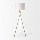 Mercana Ambrose 20" x 20" x 61.8" Metal Floor Lamp