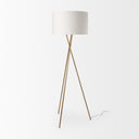Mercana Ambrose 20" x 20" x 61.8" Metal Floor Lamp