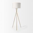 Mercana Ambrose 20" x 20" x 61.8" Metal Floor Lamp
