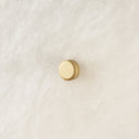 Mercana Dolly 14.2" x 4.7" x 14.2" Wall Sconce