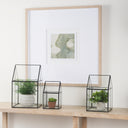 Mercana Sikes 7.9" x 7.9" x 13" Glass Box