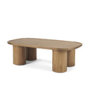 Mercana Tavi 55" x 31.5" x 16.5" Solid + Manufactured Wood Coffee Table