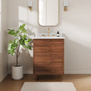 Black Walnut