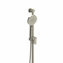 Brushed Nickel / Ceiling Arm