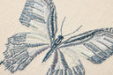 Ivory / Blue