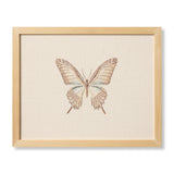 Ivory / Brown