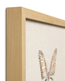 Ivory / Brown