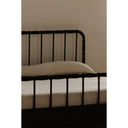 Dark Brown / King