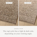 Dark Taupe / Natural / 2'-7" x 10'-0"