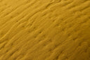 Yellow / 22" x 22" Cover w/Poly