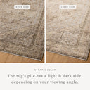 Beige / Earth / 2'-6" x 10'-0"