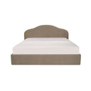 Taupe / Queen