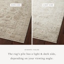 Sand / Taupe / 3'-7" x 5'-7"