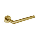 PVD Brushed Gold