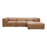 Sonoran Tan