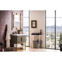 Ash Gray / Radiant Gold / Glossy White - 1 Faucet Hole
