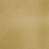 champagne-brass.png