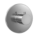 Polished Chrome