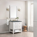 Bright White / Parisien Bleu - 3 Faucet Holes