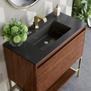 Mid-Century Walnut / Champagne Brass / Charcoal Black - 1 Faucet Hole