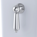 Polished Chrome