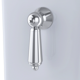 Polished Chrome