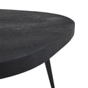 Renwil Parson Indoor Mango Wood Coffee Table - Matte Black