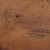 honey-alder.png