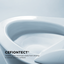 Cotton White