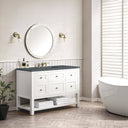 Bright White / Parisien Bleu - 3 Faucet Holes