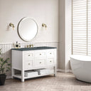 Bright White / Parisien Bleu - 3 Faucet Holes