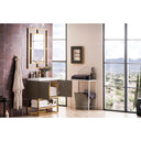 Ash Gray / Radiant Gold / Glossy White - 1 Faucet Hole