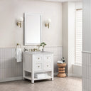 Bright White / Victorian Silver - 3 Faucet Holes
