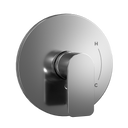 Polished Chrome