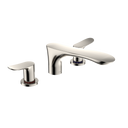Polished Nickel