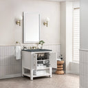 Bright White / Parisien Bleu - 3 Faucet Holes
