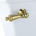 Polished Brass