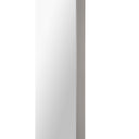 Renwil Delphinus 46" Tall Rectangle Wall Mirror - Grey