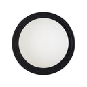 Renwil Sybils 6.5" Length Wall Sconce - Matte Black