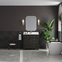 Black Onyx / White Zeus - 1 Faucet Hole