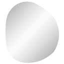 Renwil Terni 45" Tall Irregular Led Mirror - Clear