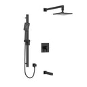 Black / Wall Arm