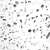 terrazzo.png