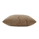 Renwil Alchemilla 20 x 20 Indoor Pillow - Camel
