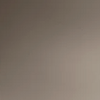 truffle.png