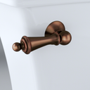 Rubbed Bronze