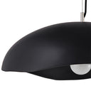Renwil Filomena 22" Wide 1-Light Chandelier - Matte Black